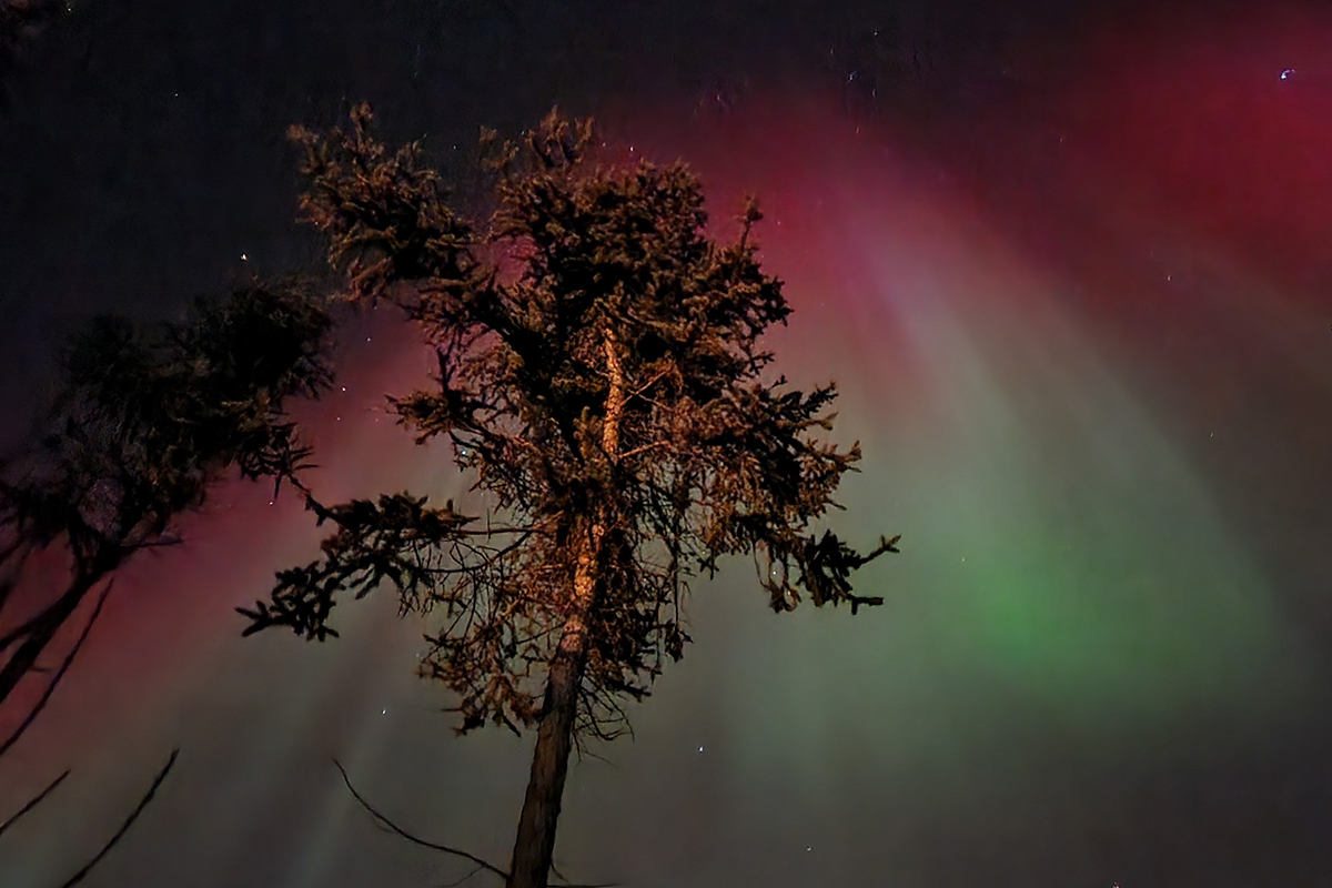 CanNor Funding Should Build Markets—Not Just Programs